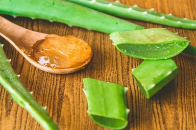 Aloe vera, aliatul de nădejde al diabeticilor. De ce ar trebui să-l consume frecvent