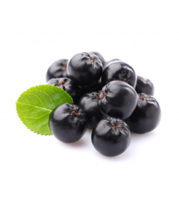 Aronia