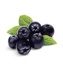Atomizat din suc (obținut prin presare la rece) din fructe de Aronia (Aronia melanocarpa), pe pat de Nutriose, în raport 4:1