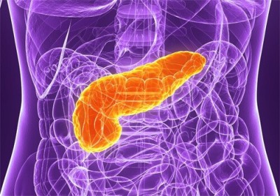 Ce alimente să consumi dacă ai probleme cu pancreasul. N-ar trebui să lipsească din dieta zilnică