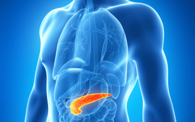 Ce să mănânci ca să-ți păstrezi sănătatea ficatului și a pancreasului