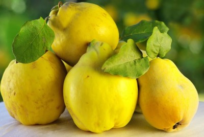 Ce se întâmplă în organismul tău dacă alegi să consumi constant gutui