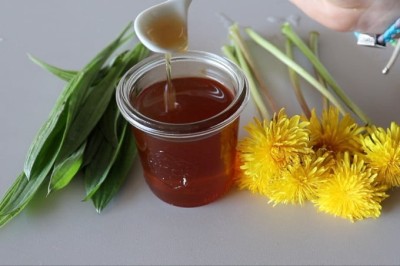 Ce se întâmplă în organismul tău dacă consumi sirop de pătlagină. Cea mai simplă rețetă