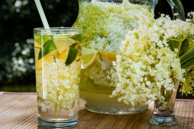 Ce se întâmplă în organismul tău dacă consumi socată! Cum prepari băutura magică!