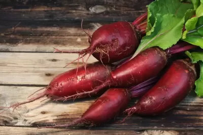 Ce se întâmplă în organismul tău dacă vei consuma sfeclă