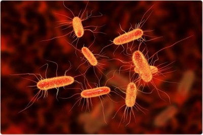 Ce trebuie să știi despre infecții. Obiceiurile banale care te ajută să le previi cu ușurință 