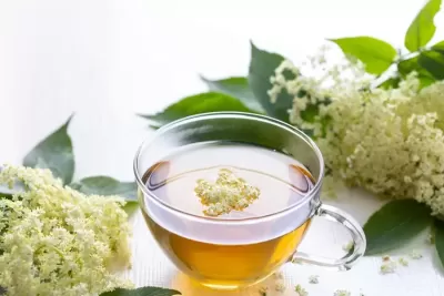 Cele mai bune infuzii pentru detoxifierea organismului