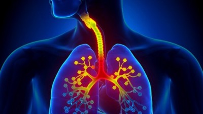 Cele mai eficiente ceaiuri pentru menținerea sănătății plămânilor