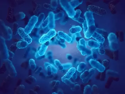 Cum combați infecțiile bacteriene fără medicamente. Alimente care funcționează ca antibiotice naturale