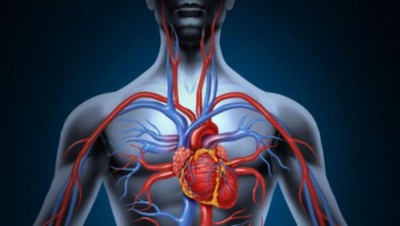 Cum să-ți îmbunătățești circulația sângelui. Alimente pe care trebuie să le consumi