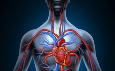 Cum să-ți îmbunătățești circulația sanguină deficitară! Remedii pe care trebuie să le încerci