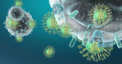 Cum să-ți întărești sistemul imunitar înainte să te îmbolnăvești