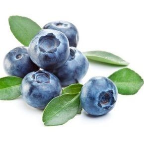 Extract din fructe de afin ( Vaccinium myrtillus)