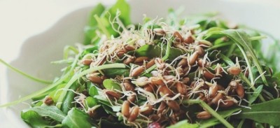 Germenii din grâu, leacul din natură ce ajută la combaterea cancerului