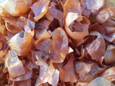 La ce sunt bune cojile de ceapă! De ce nu trebuie să le mai arunci niciodată