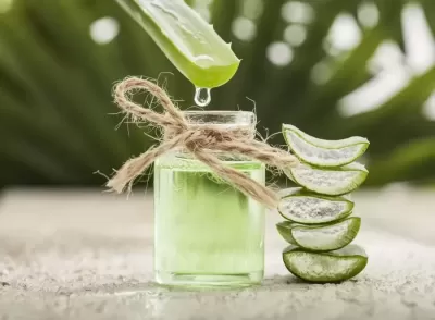 Legătura dintre aloe vera și menținerea sănătății inimii. De ce să consumi această plantă