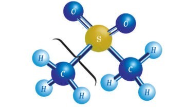 MSM (Metylsulfonylmetan)