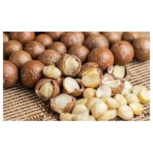 Nuci Macadamia