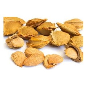 Samburii de caise