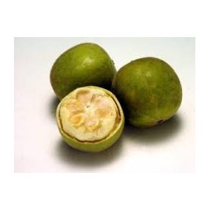 Siraitia Grosvenorii