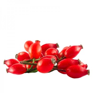 Măceș - fruct (Rosa canina)