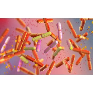 Tulpini bacteriene din genurile Lactobacillus și Bifidobacterium