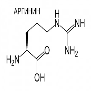 Arginina 