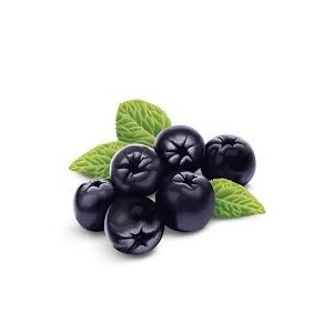 Atomizat din suc (obținut prin presare la rece) din fructe de Aronia (Aronia melanocarpa), pe pat de Nutriose, în raport 4:1