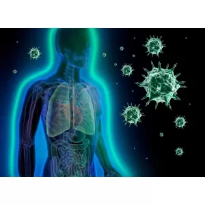 Care sunt cele mai bune suplimente alimentare pentru a-ți întări sistemul imunitar la începutul sezonului rece