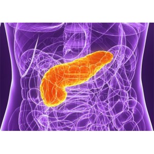 Ce alimente să consumi dacă ai probleme cu pancreasul. N-ar trebui să lipsească din dieta zilnică