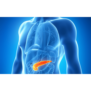 Ce să mănânci ca să-ți păstrezi sănătatea ficatului și a pancreasului
