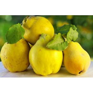 Ce se întâmplă în organismul tău dacă alegi să consumi constant gutui