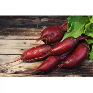 Ce se întâmplă în organismul tău dacă vei consuma sfeclă