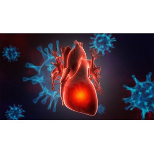 Ce trebuie să știi despre infecția cu noul coronavirus dacă suferi de afecțiuni cardiovasculare