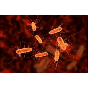 Ce trebuie să știi despre infecții. Obiceiurile banale care te ajută să le previi cu ușurință 