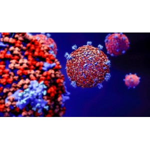 Cum acționează coronavirusul în organism. Iată care sunt primele organe afectate