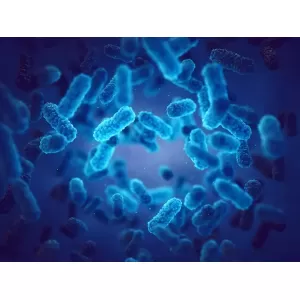 Cum combați infecțiile bacteriene fără medicamente. Alimente care funcționează ca antibiotice naturale