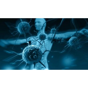 Cum îți slăbești sistemul imunitar fără să știi. Greșeli pe care trebuie să încetezi să le faci