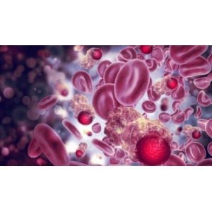 Cum previi apariția cancerului - alimente care stopează dezvoltarea celulelor canceroase