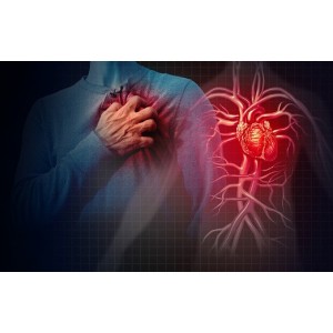 Cum previi apariția problemelor cardiovasculare. Alimente bogate în minerale pe care trebuie să le consumi