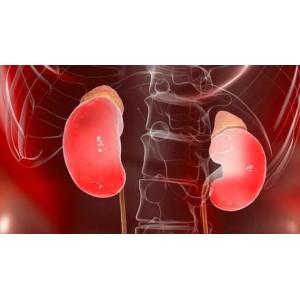 Cum să-ți detoxifiezi rinichii în mod natural