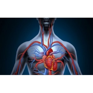 Cum să-ți îmbunătățești circulația sanguină deficitară! Remedii pe care trebuie să le încerci