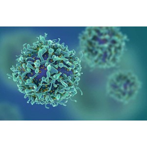 Cum să ții cancerul la distanță! Obiceiurile ce reduc riscurile de a contracta o formă a maladiei