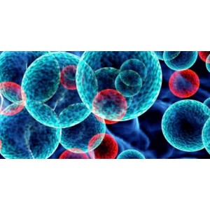 Cum se manifestă cancerul ovarian. Principalele simptome pe care nu trebuie să le ignori