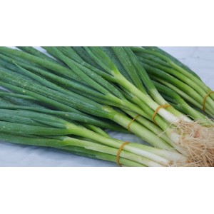 De ce ar trebui să consumi ceapă verde. Beneficiile asupra sănătății sunt uluitoare