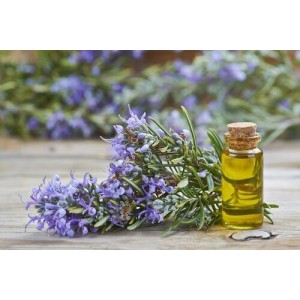 Efectele uimitoare ale rozmarinului pentru sănătate! La ce este bună această plantă