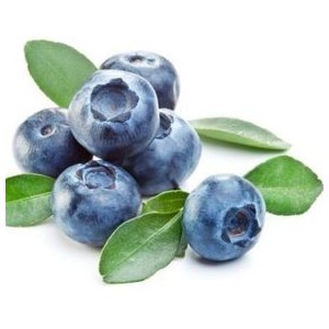 Extract din fructe de afin ( Vaccinium myrtillus)