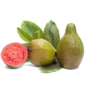 Frunze de Guava