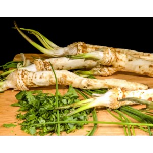 Hreanul, ingredientul eficient pentru combaterea tusei. Ce alte beneficii are în organism