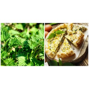 Îți lingi degetele de plăcere! Plăcintă cu urzici și brânză sărată